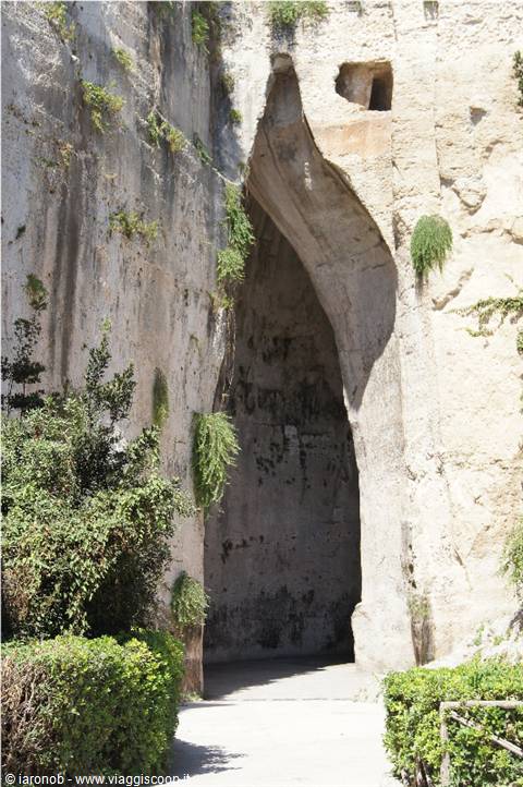 Orecchio di dionisio