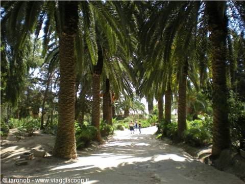 Cartagine - giardini