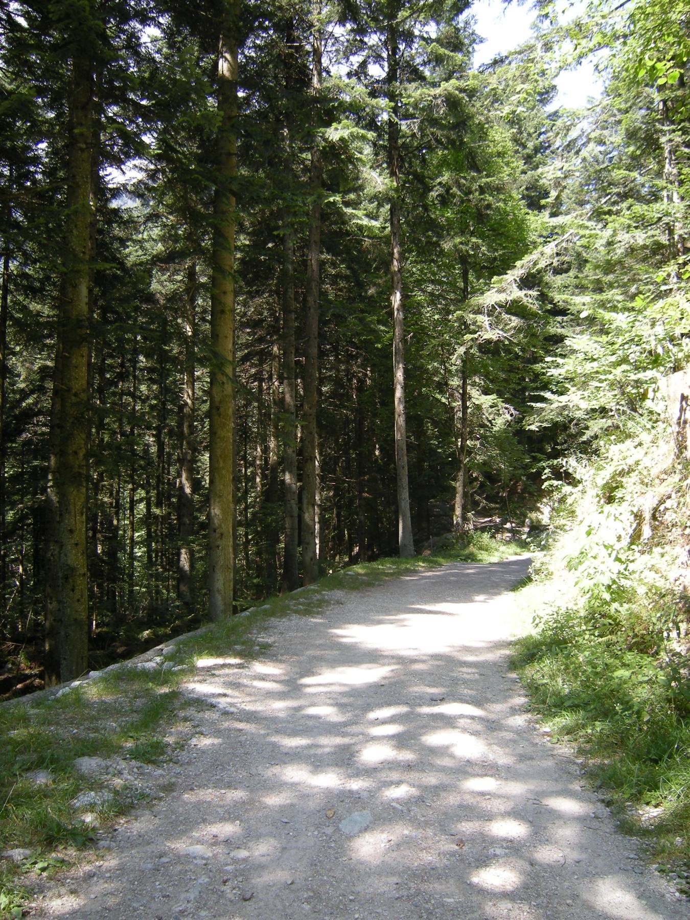 sentiero per il recinto dei cervi