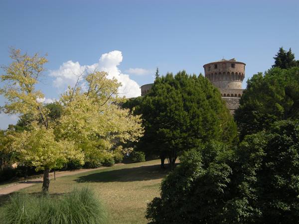 volterra