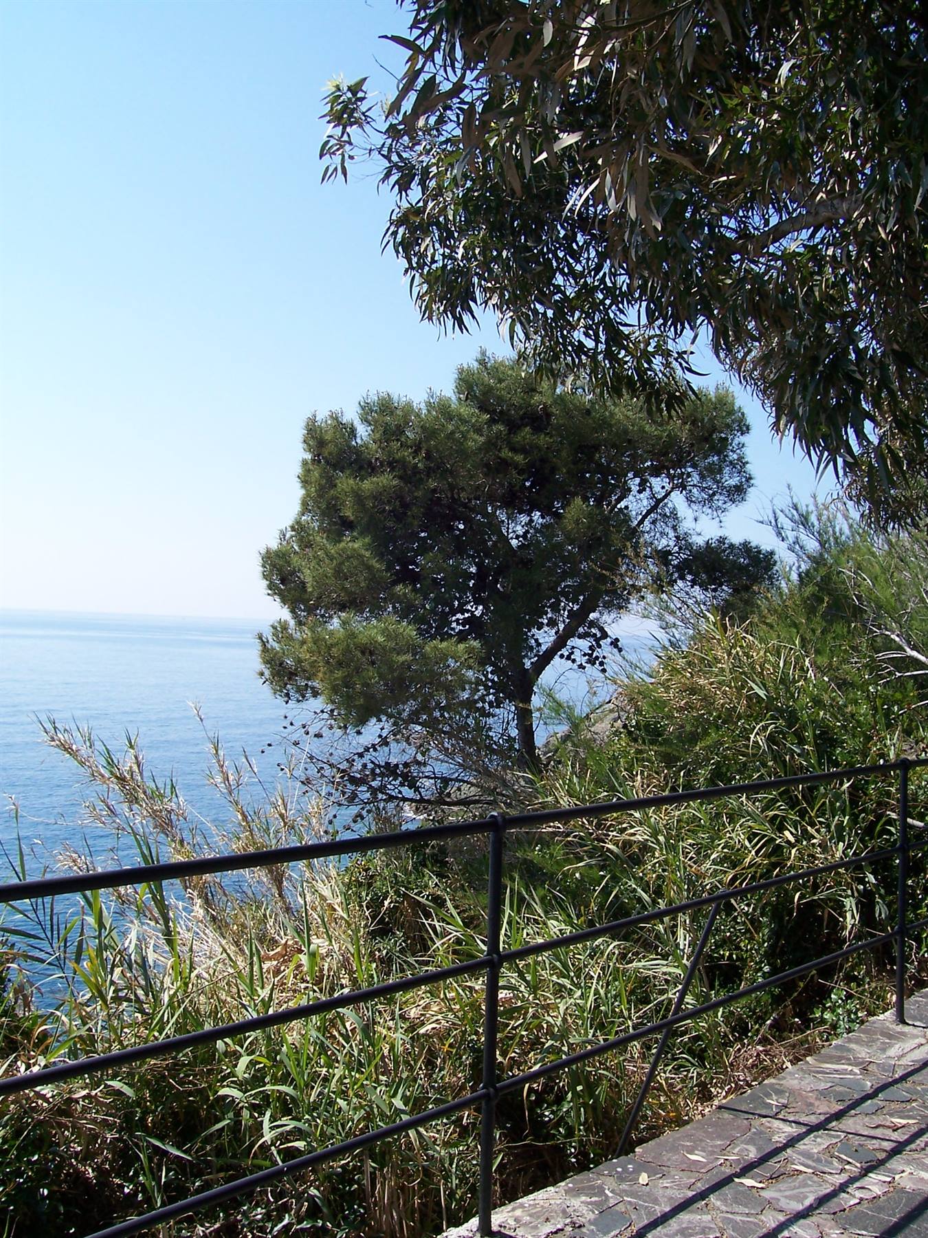 Foto di viaggio in ITALIA