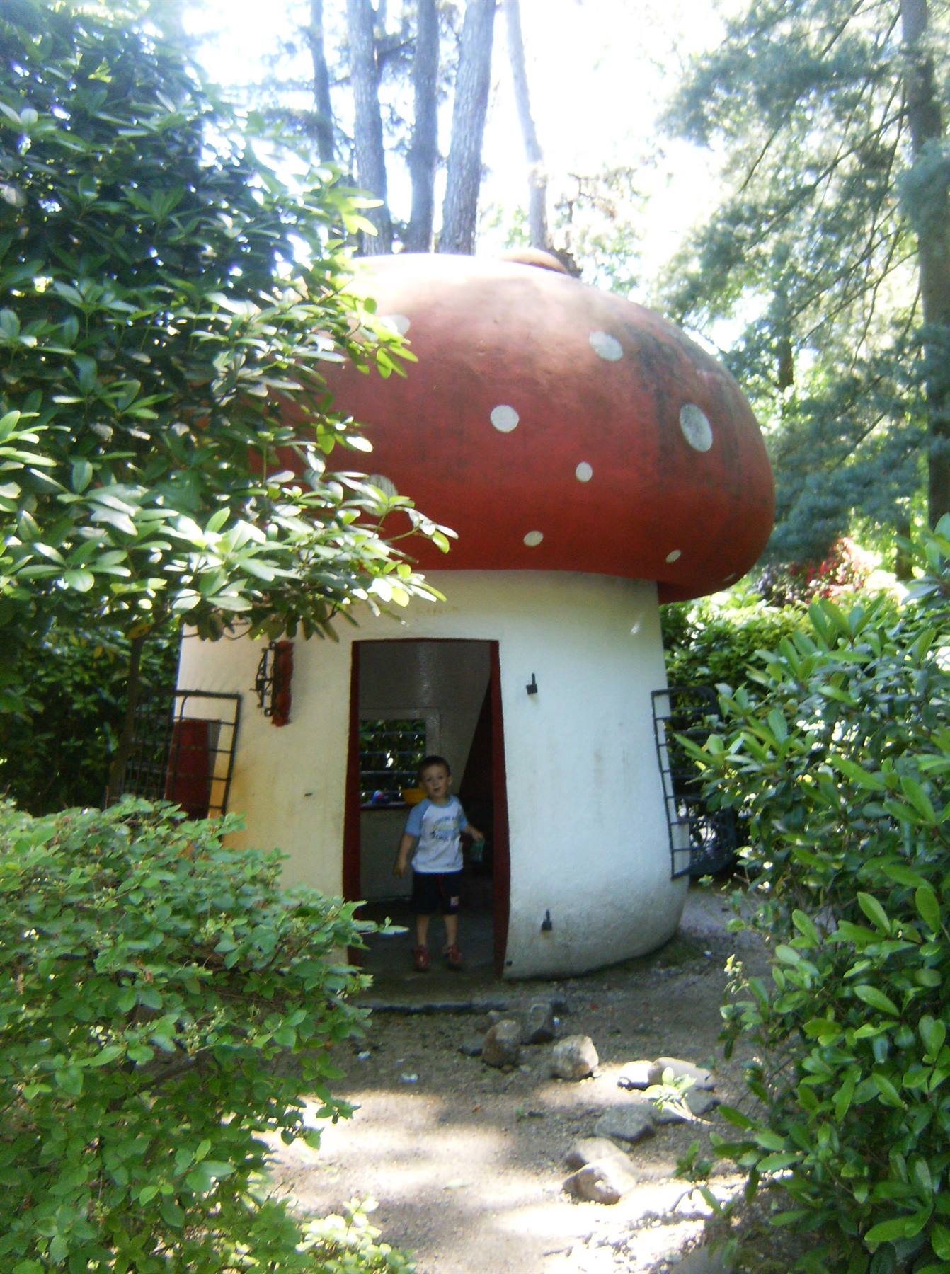 villa pallavicino