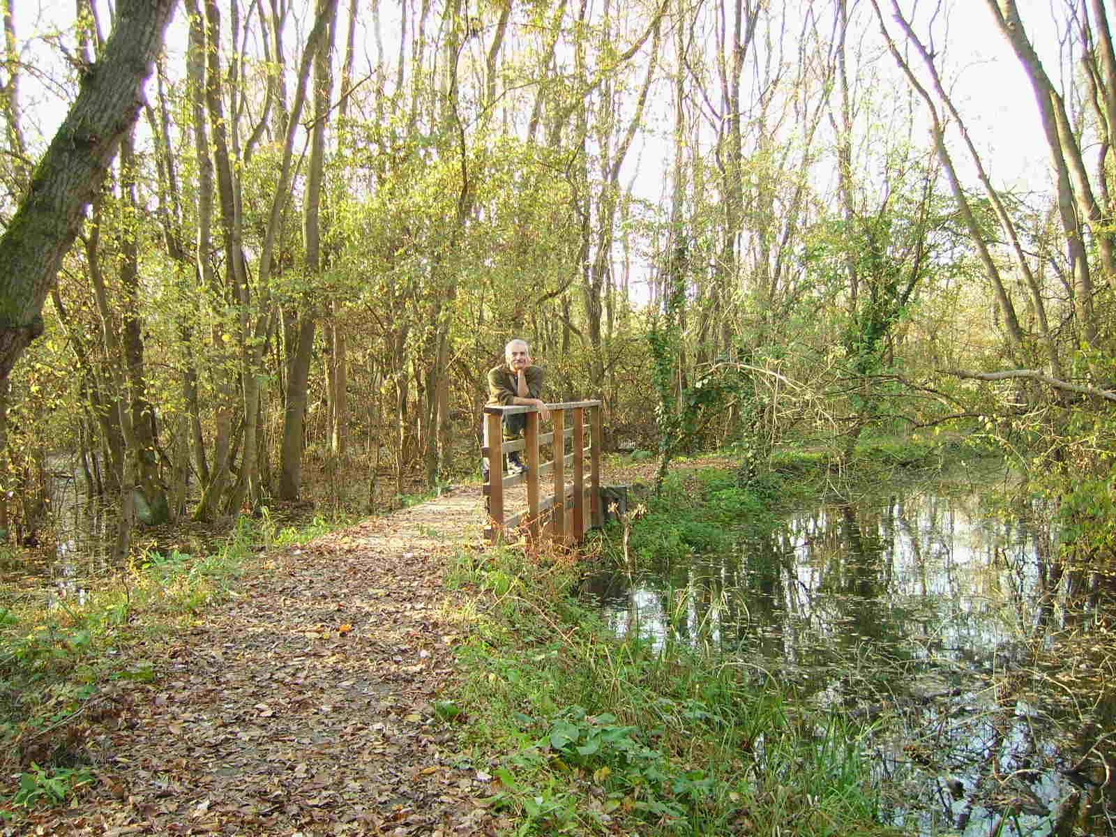Punte Alberete immersi nella natura