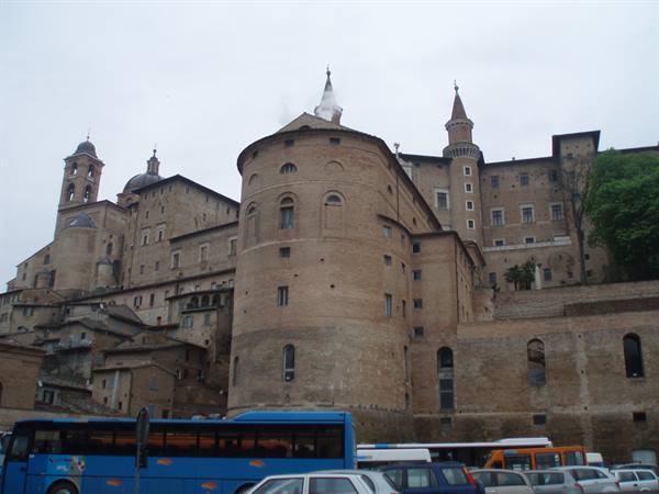 Urbino