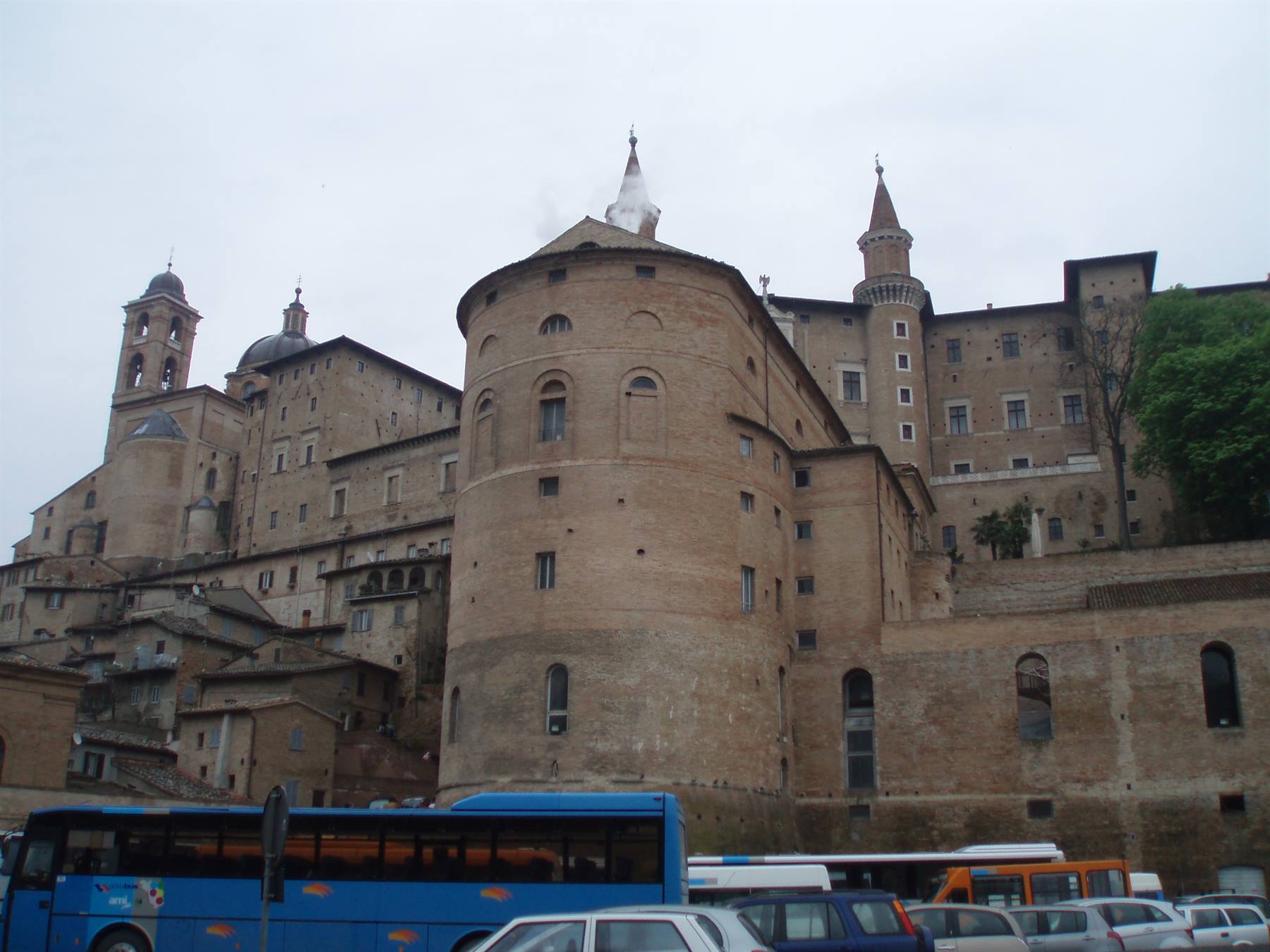 Urbino