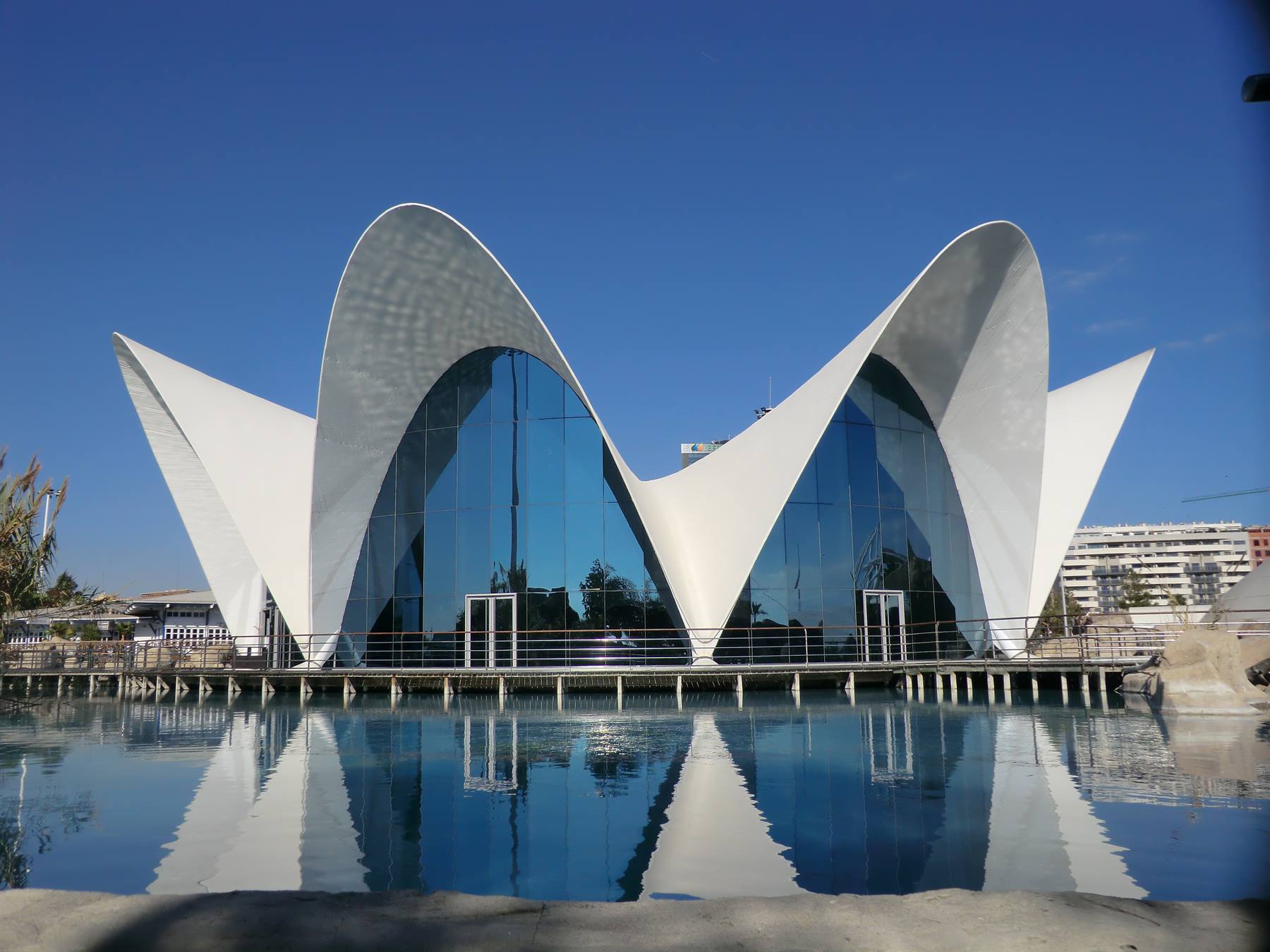 Volti bianchi di Calatrava riflessi nell'acqua dell'Oceanogràfic, Valenza