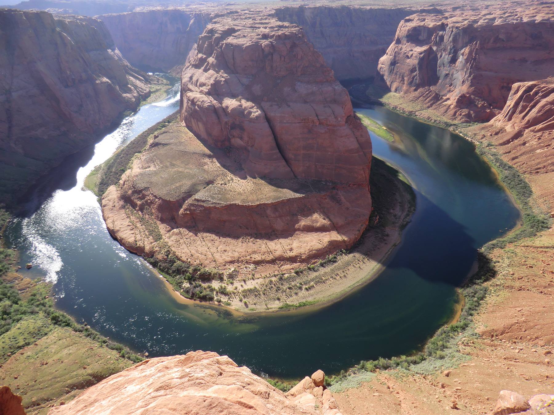 horse shoe
