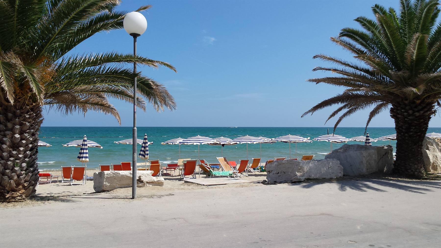 Riviera delle palme