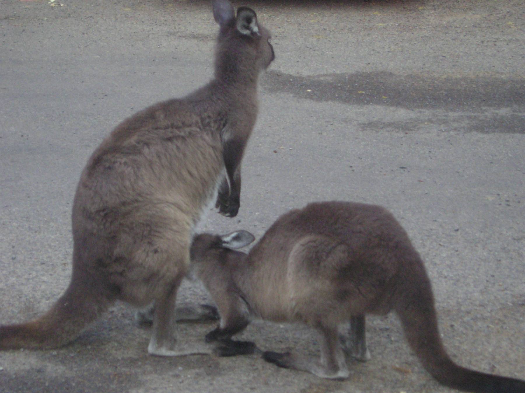 so sweet!!
