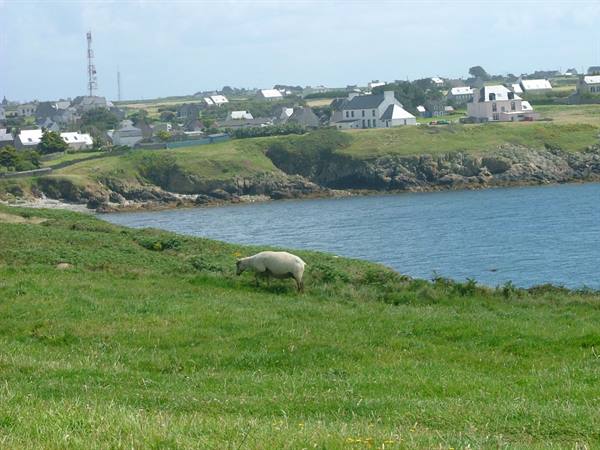 Ile d'Ouessant