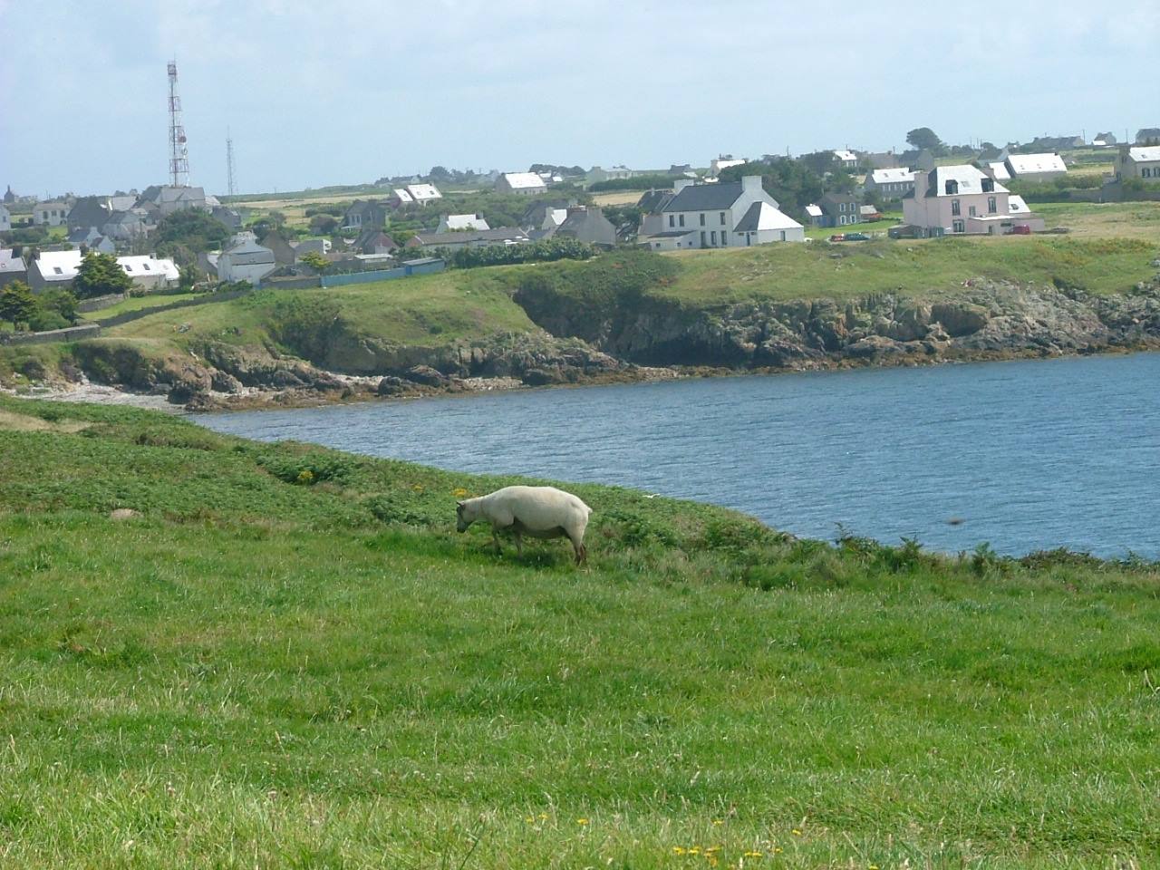 Ile d'Ouessant