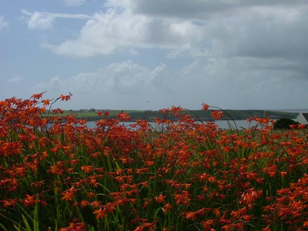 Ile d'Ouessant