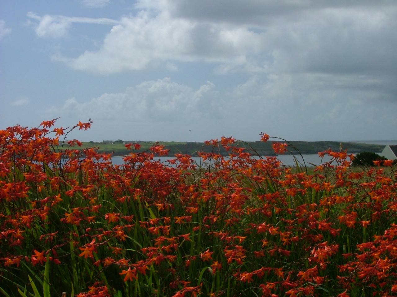 Ile d'Ouessant