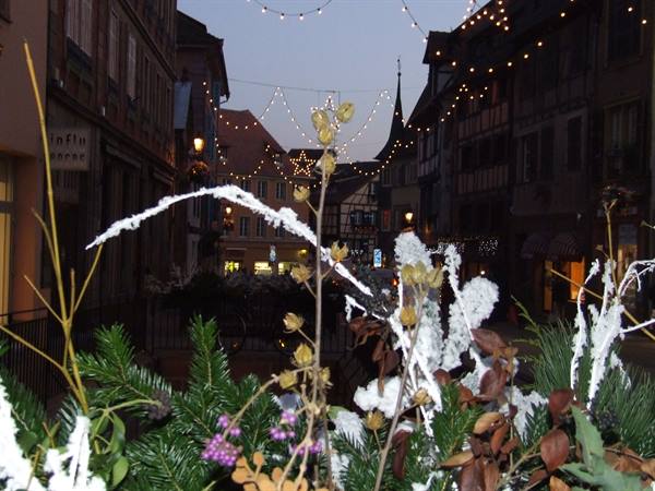 COLMAR