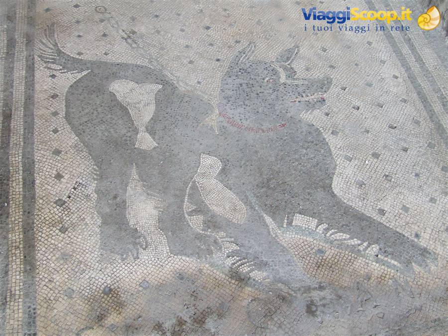POMPEI - Il mosaico ''CAVE CANEM''