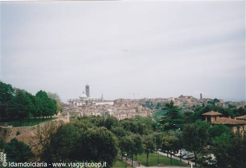 SIENA - Panorama