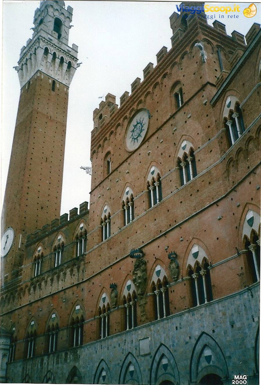 SIENA - Palazzo Comunale e Torre del Mangia