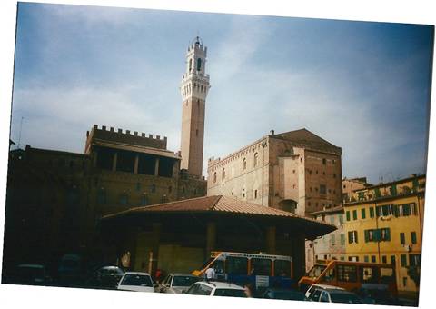 SIENA