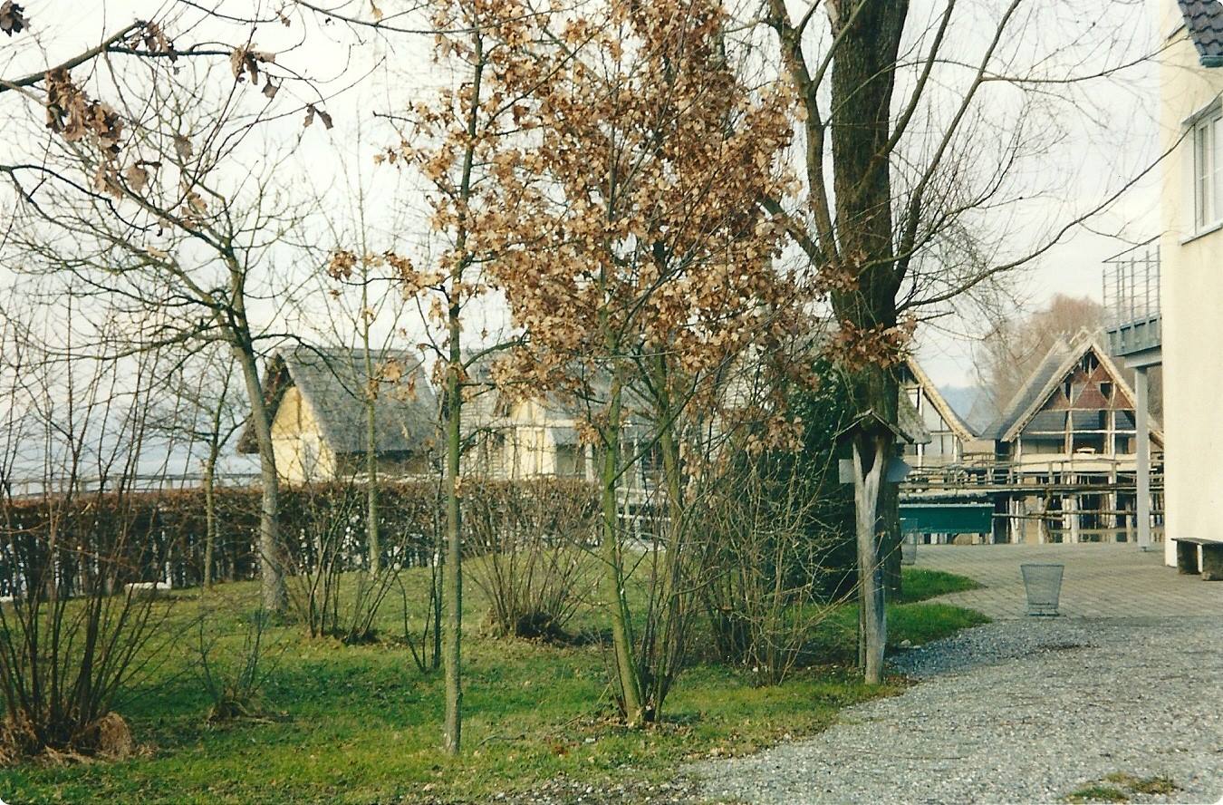 UNTERUHLDINGEN- Palafitte