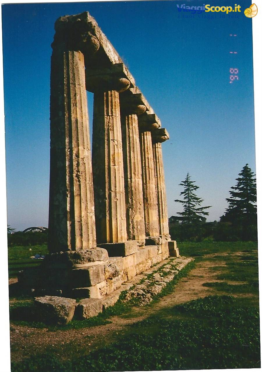 METAPONTO - Tavole Palatine