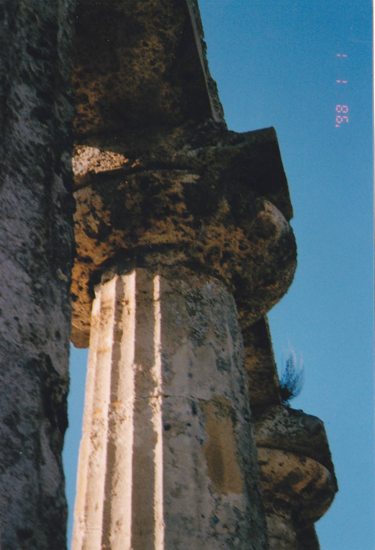 TAVOLE PALATINE - Particolare