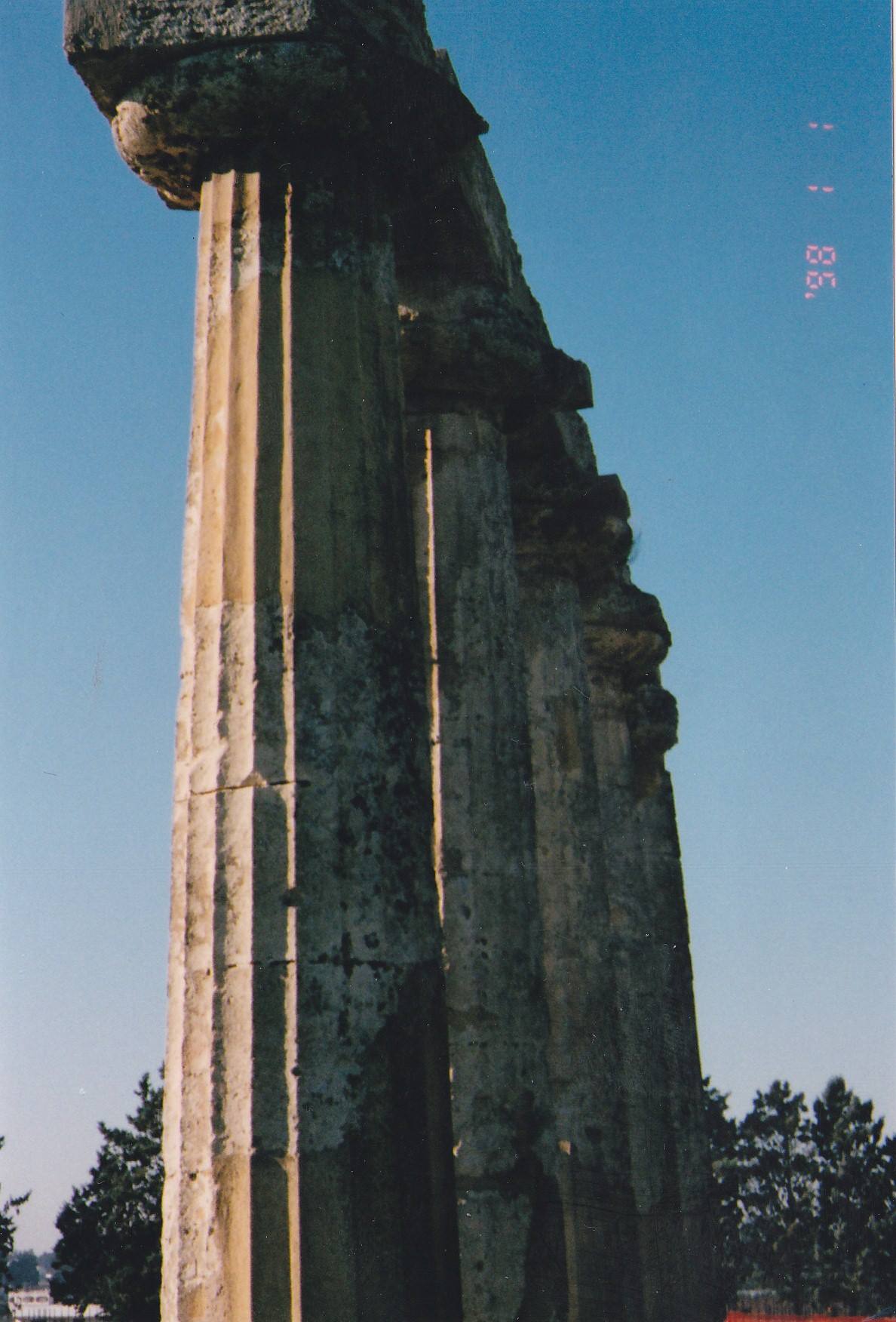 TAVOLE PALATINE - Particolare