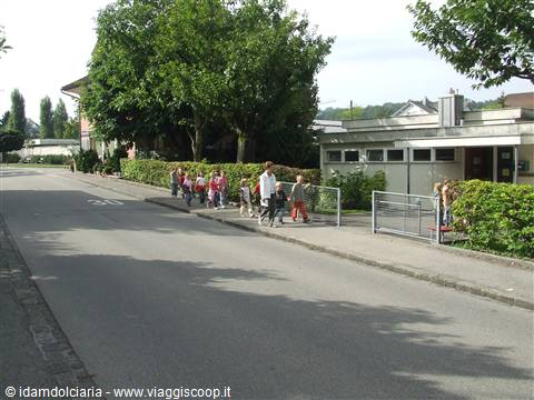 SURSEE - Simpatica scolaresca