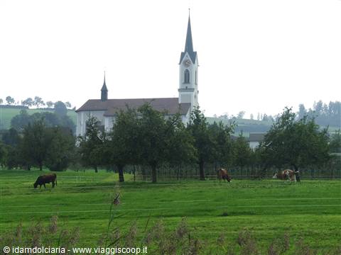 SURSEE - Campagna svizzera