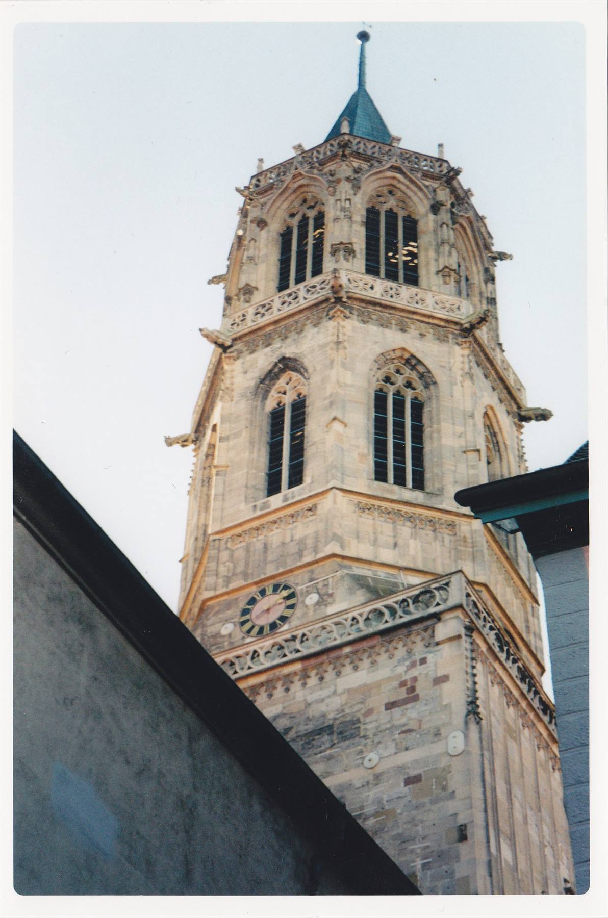 ROTWEIL - Munster