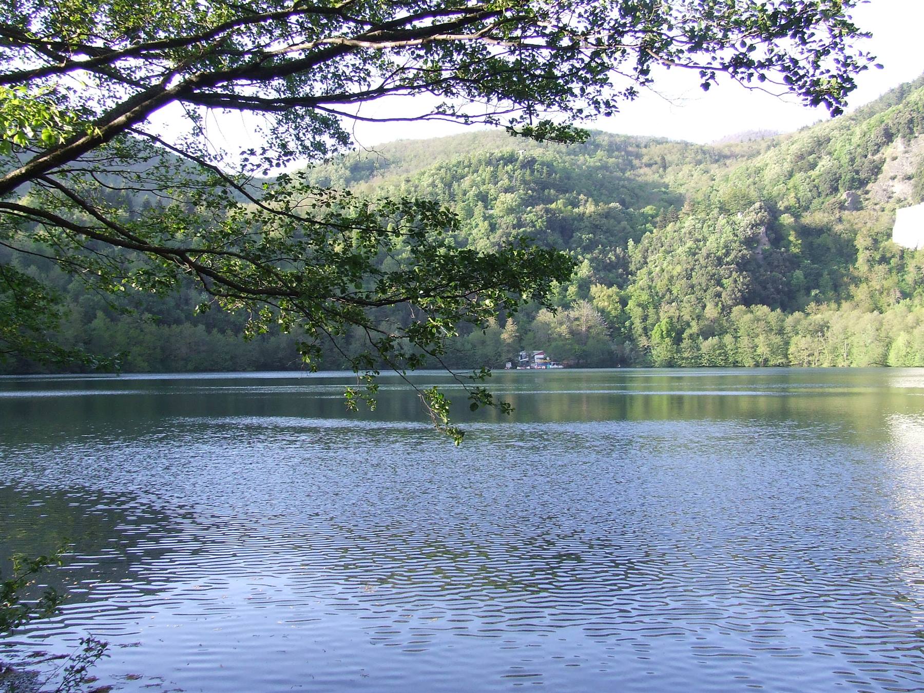 MONTICCHIO