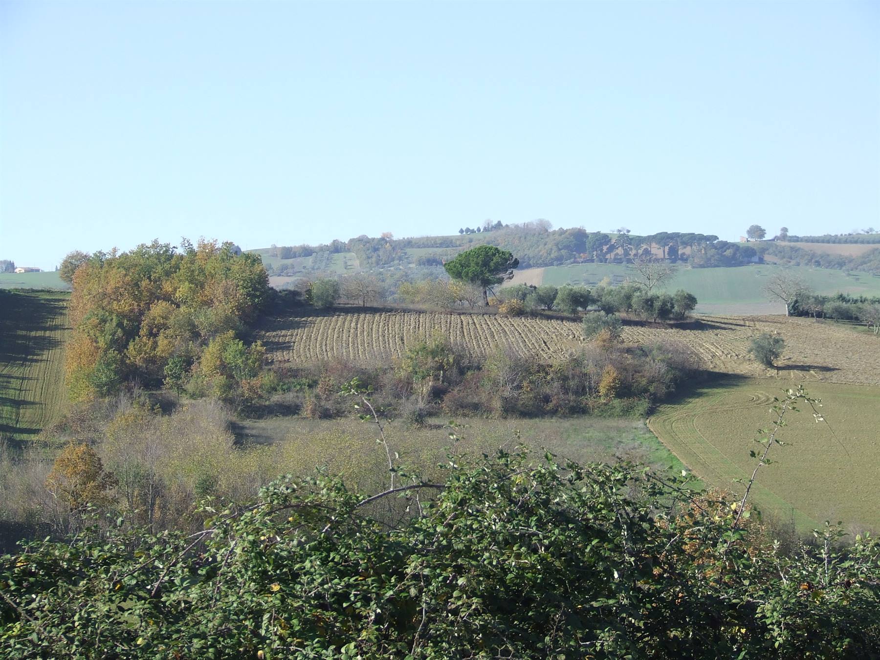 LA CAMPAGNA MOLISANA PRESSO SAN GIOVANNI IN GALDO