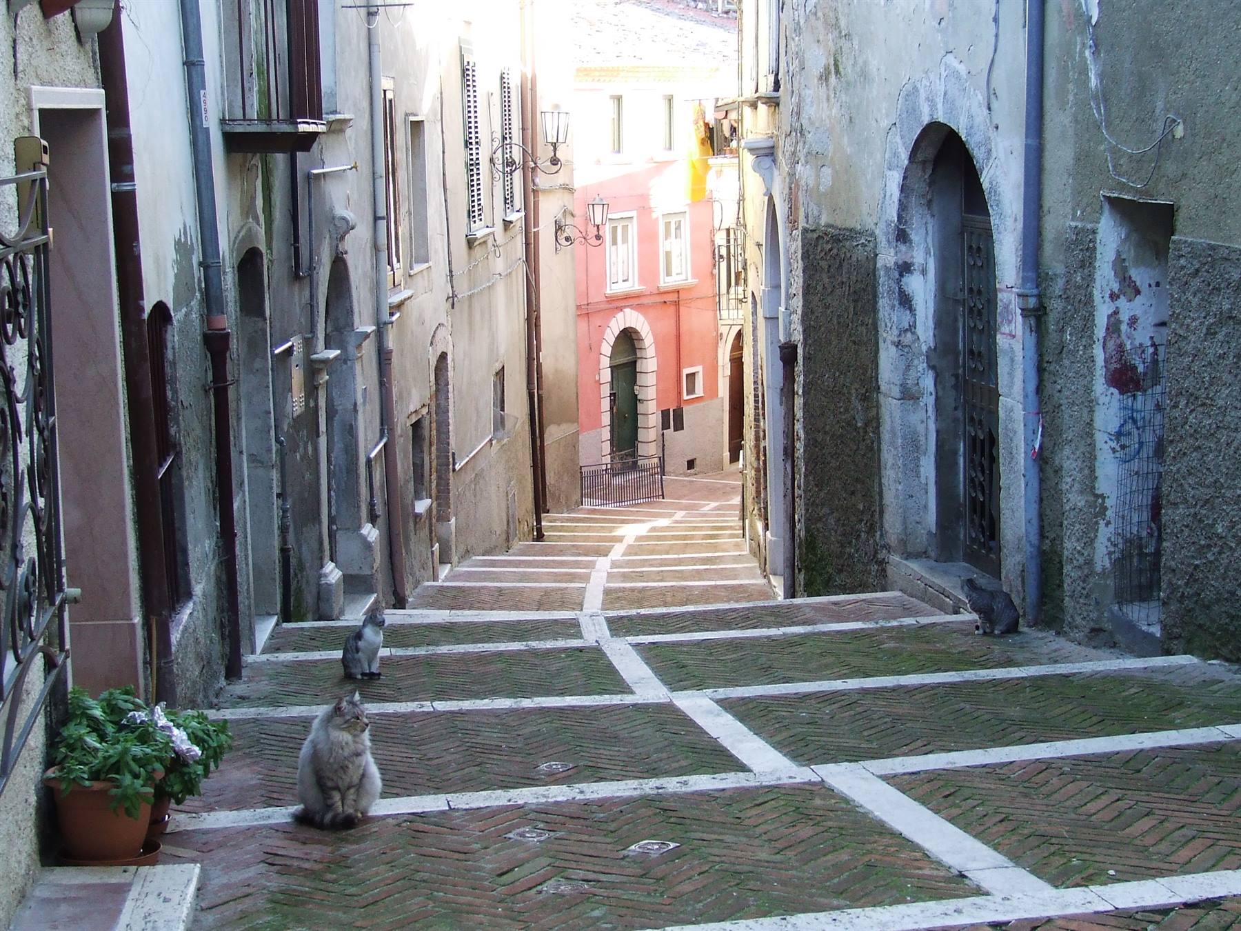 CAMPOBASSO