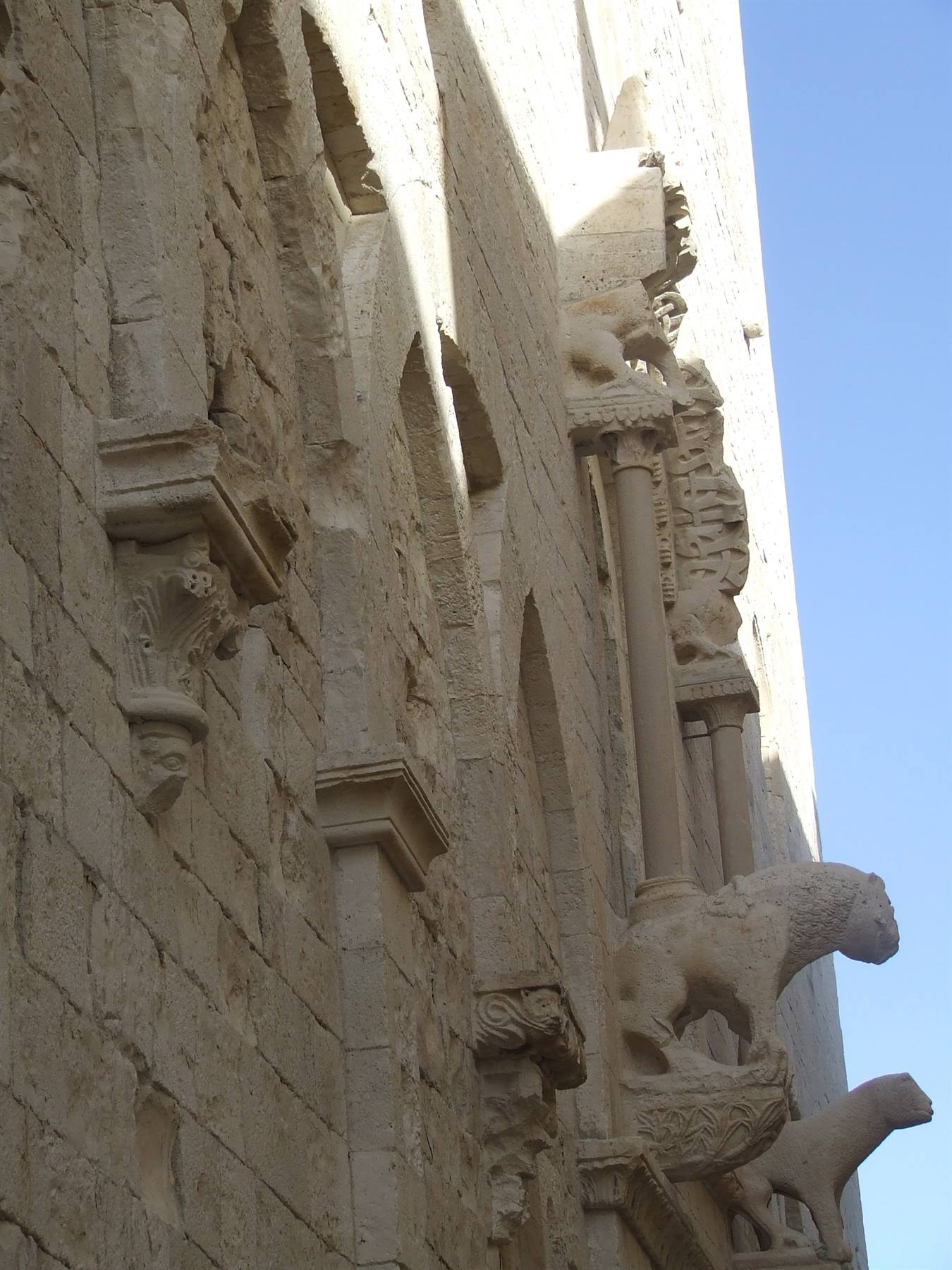 MOLFETTA - Duomo : particolare