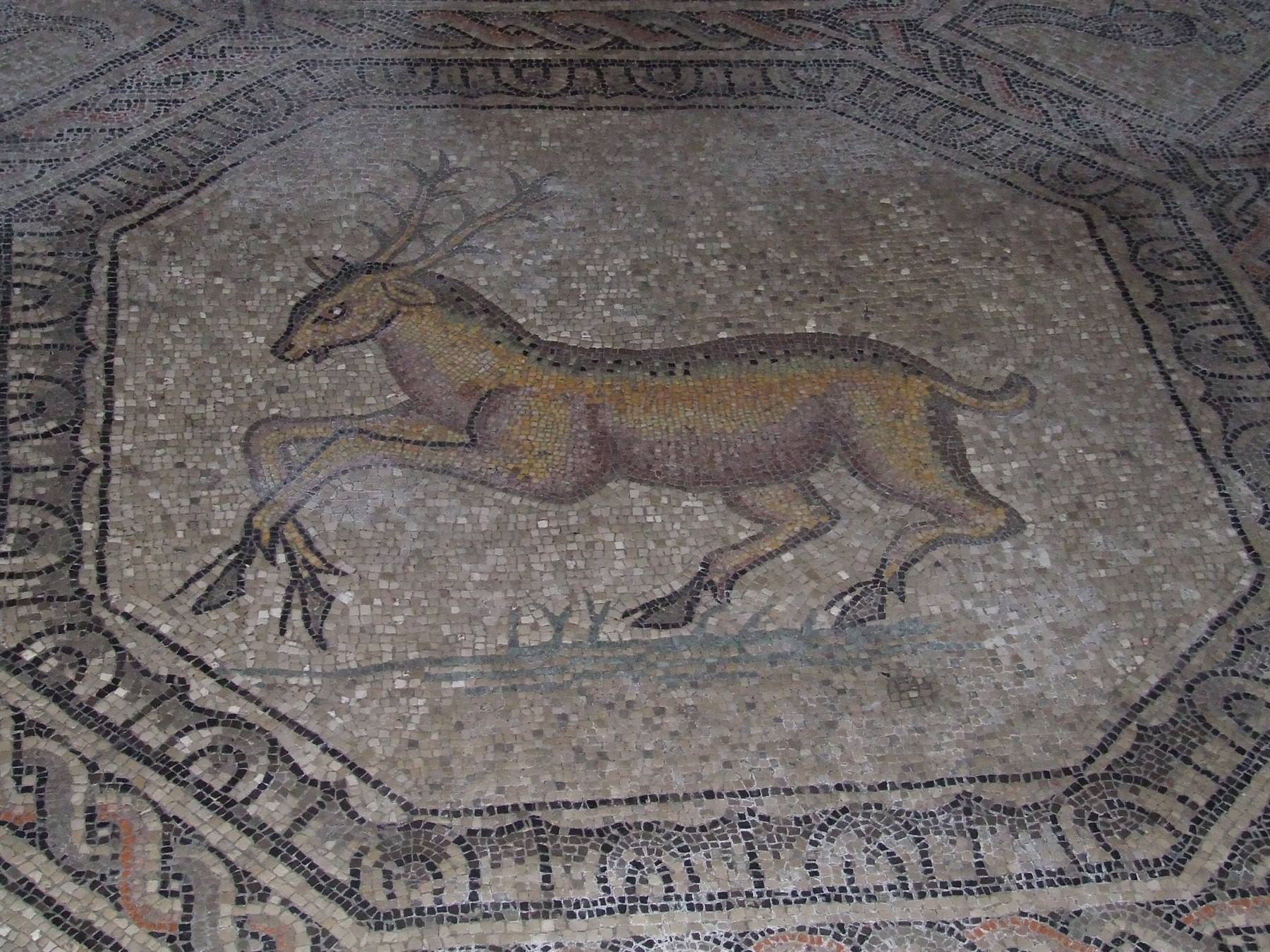 AQUILEIA - Basilica : mosaico