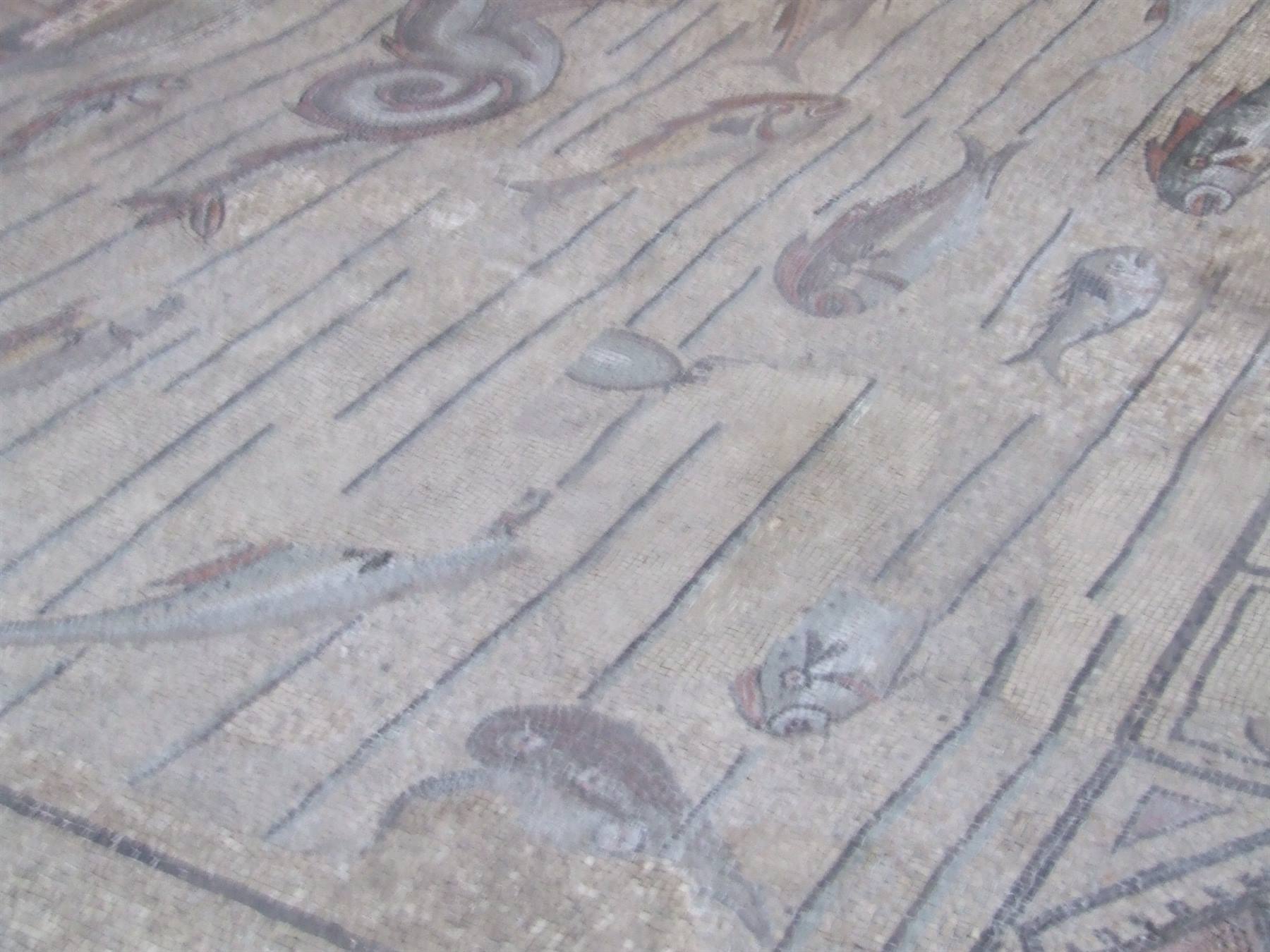 AQUILEIA - Basilica : mosaico