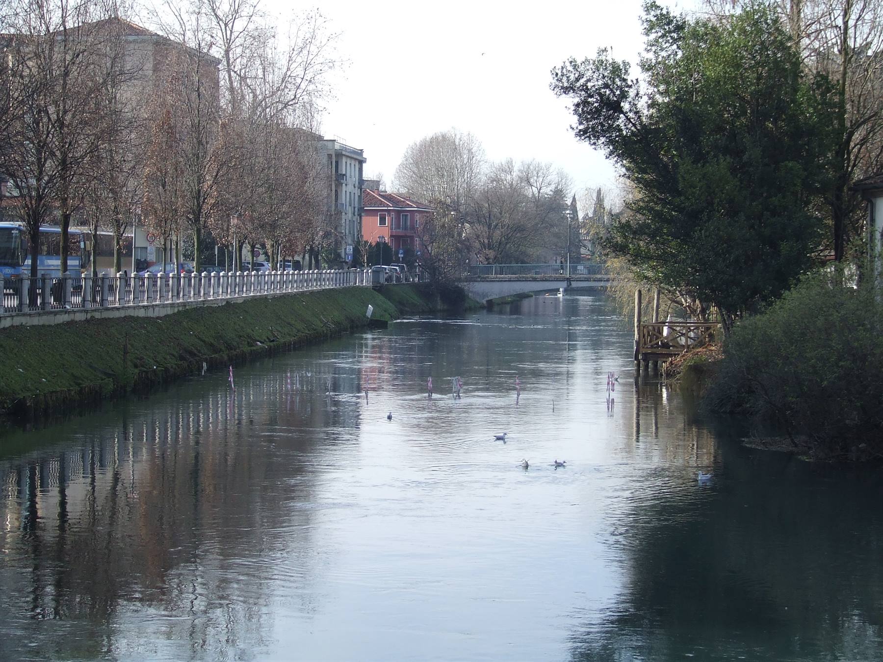 TREVISO