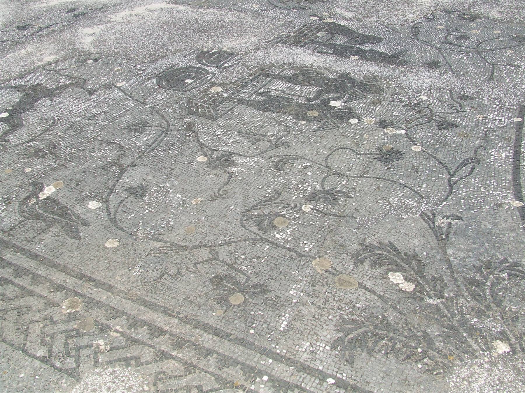MINTURNAE - Mosaico