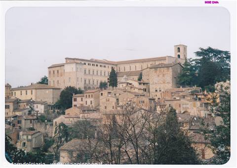 TODI