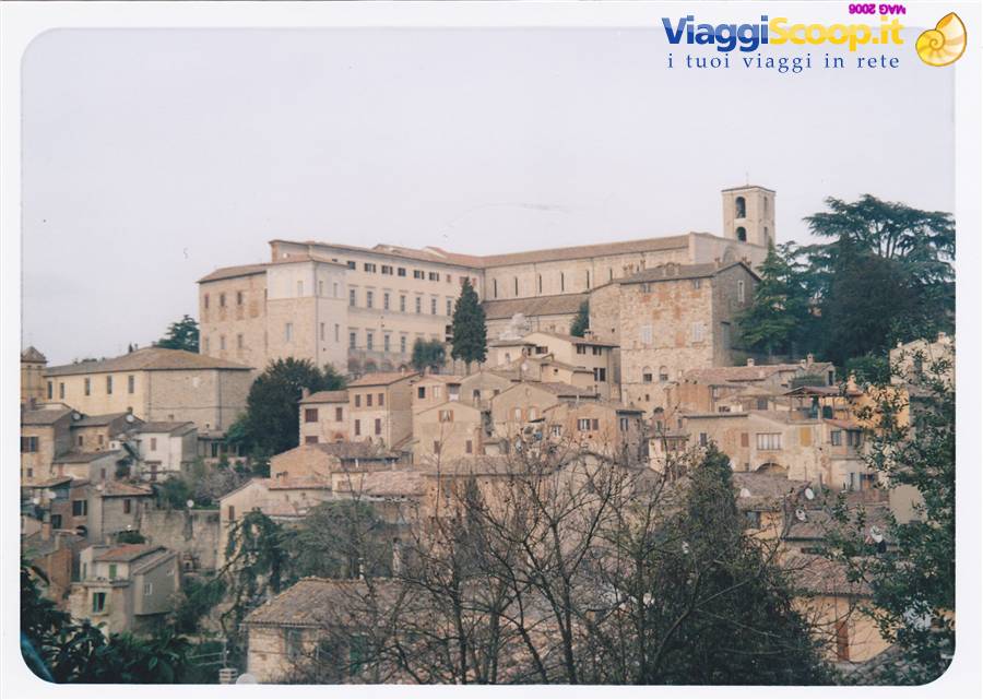 TODI