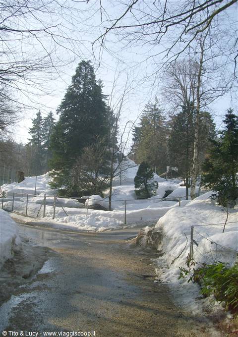 Parc zoologique du bois du petit chateau (La Chaux de Fonds)