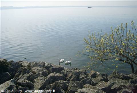 Lago di Neuchatel