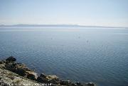 Lago di Neuchatel