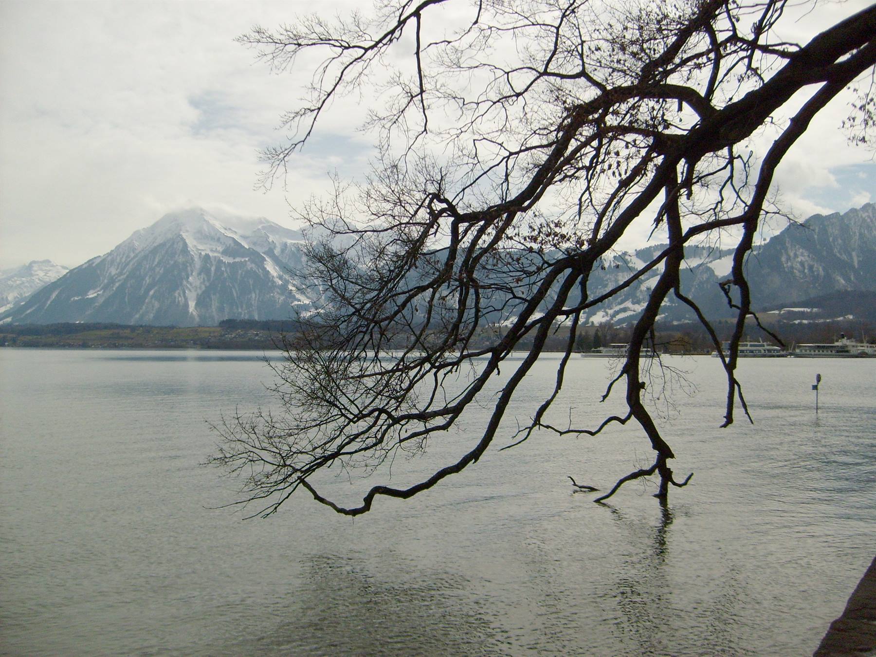 Foto di viaggio in SVIZZERA