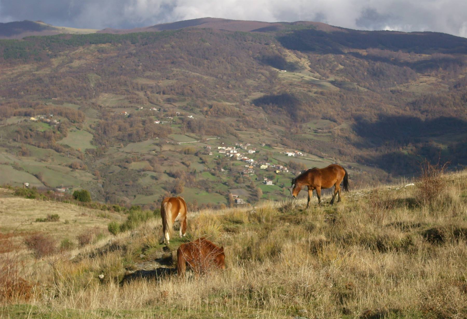 Foto di viaggio in ITALIA