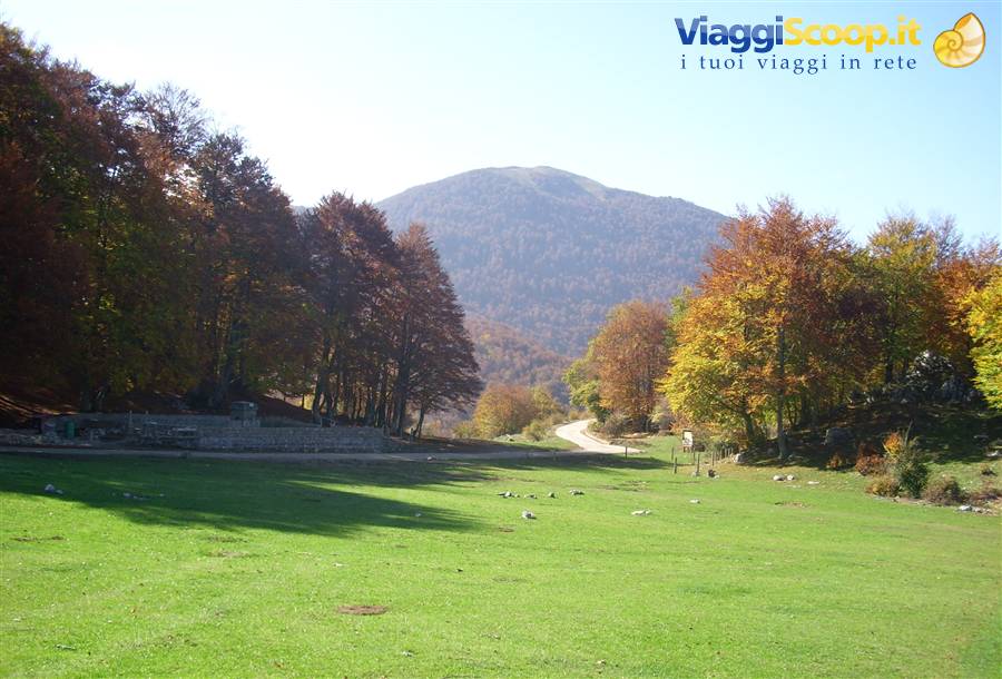Foto di viaggio in ITALIA