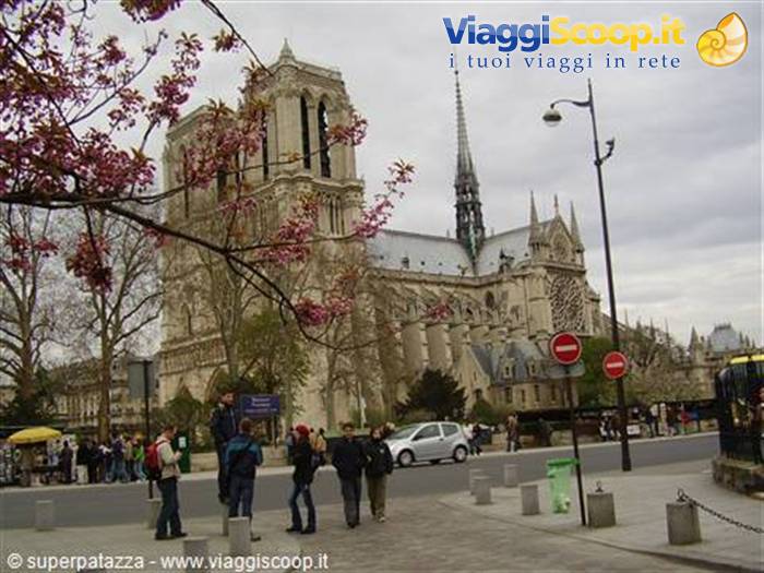 NOTRE DAME 