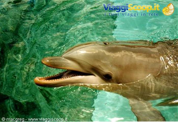Sea World