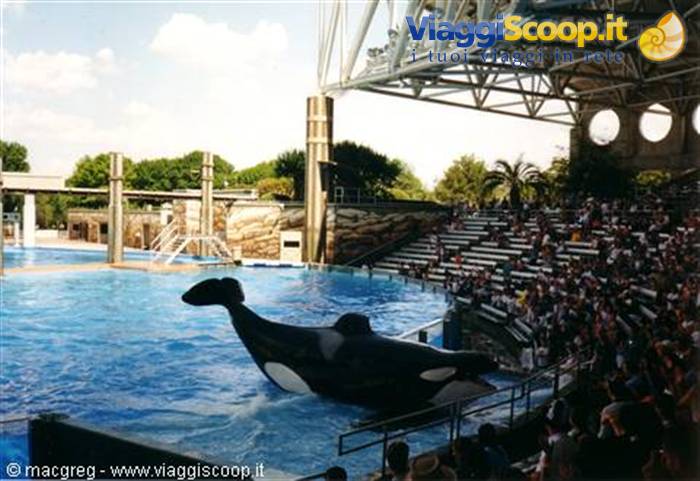 Sea World