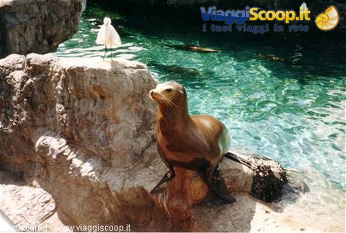 Sea World