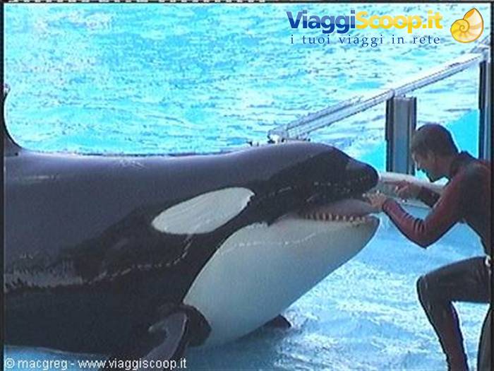Sea World